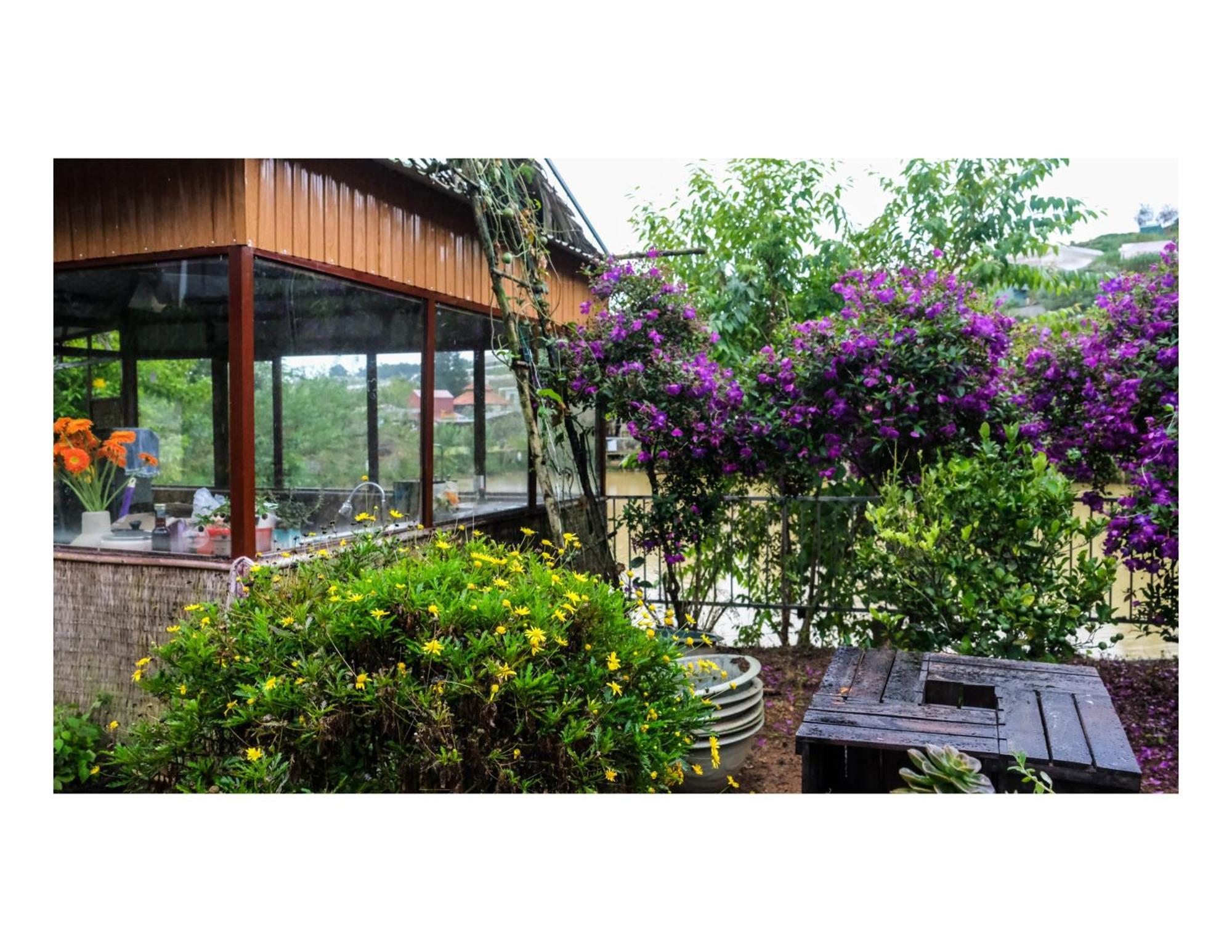 Nha Ben Ho - Da Lat Homestay Екстер'єр фото