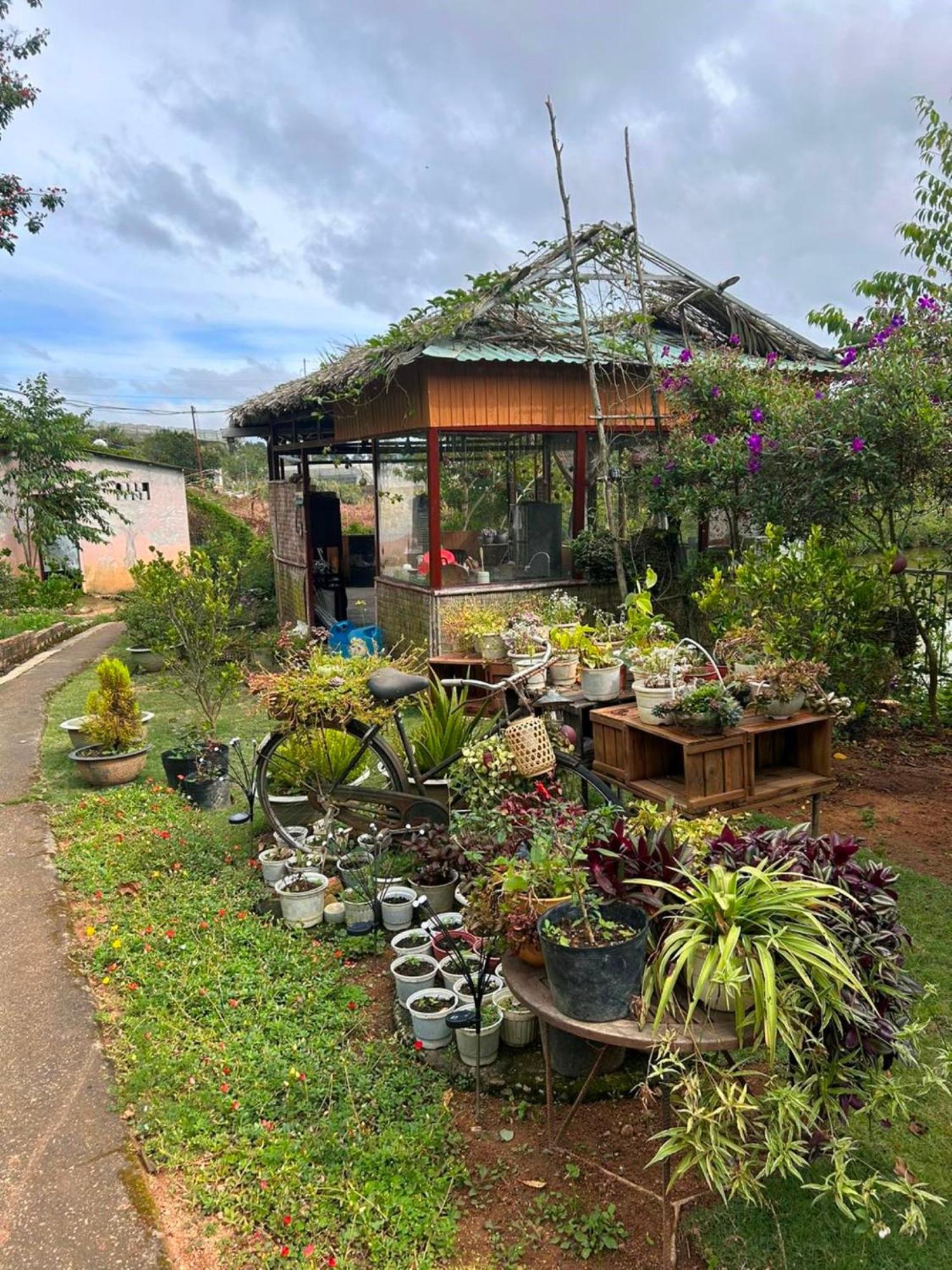 Nha Ben Ho - Da Lat Homestay Екстер'єр фото