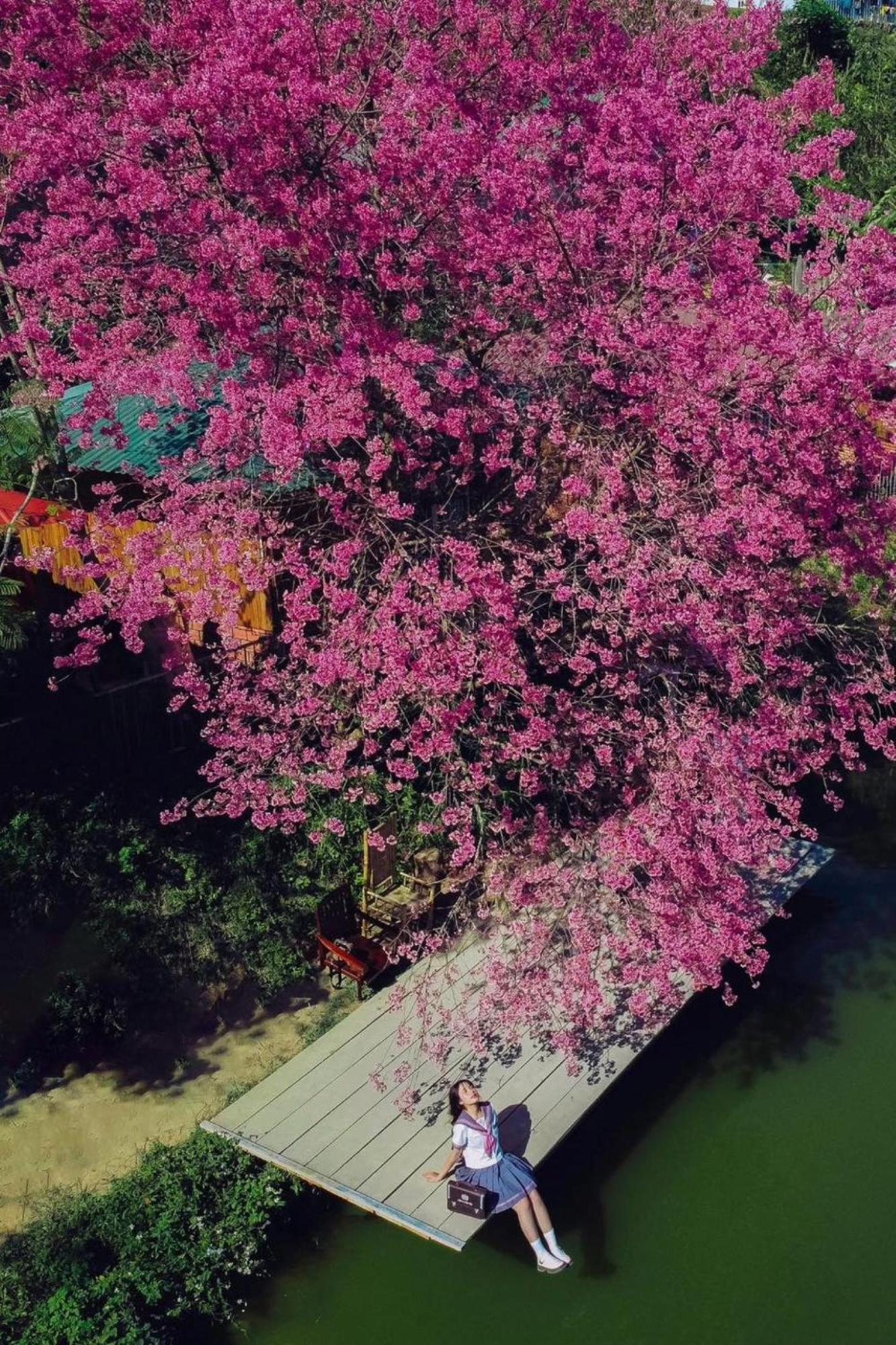 Nha Ben Ho - Da Lat Homestay Екстер'єр фото