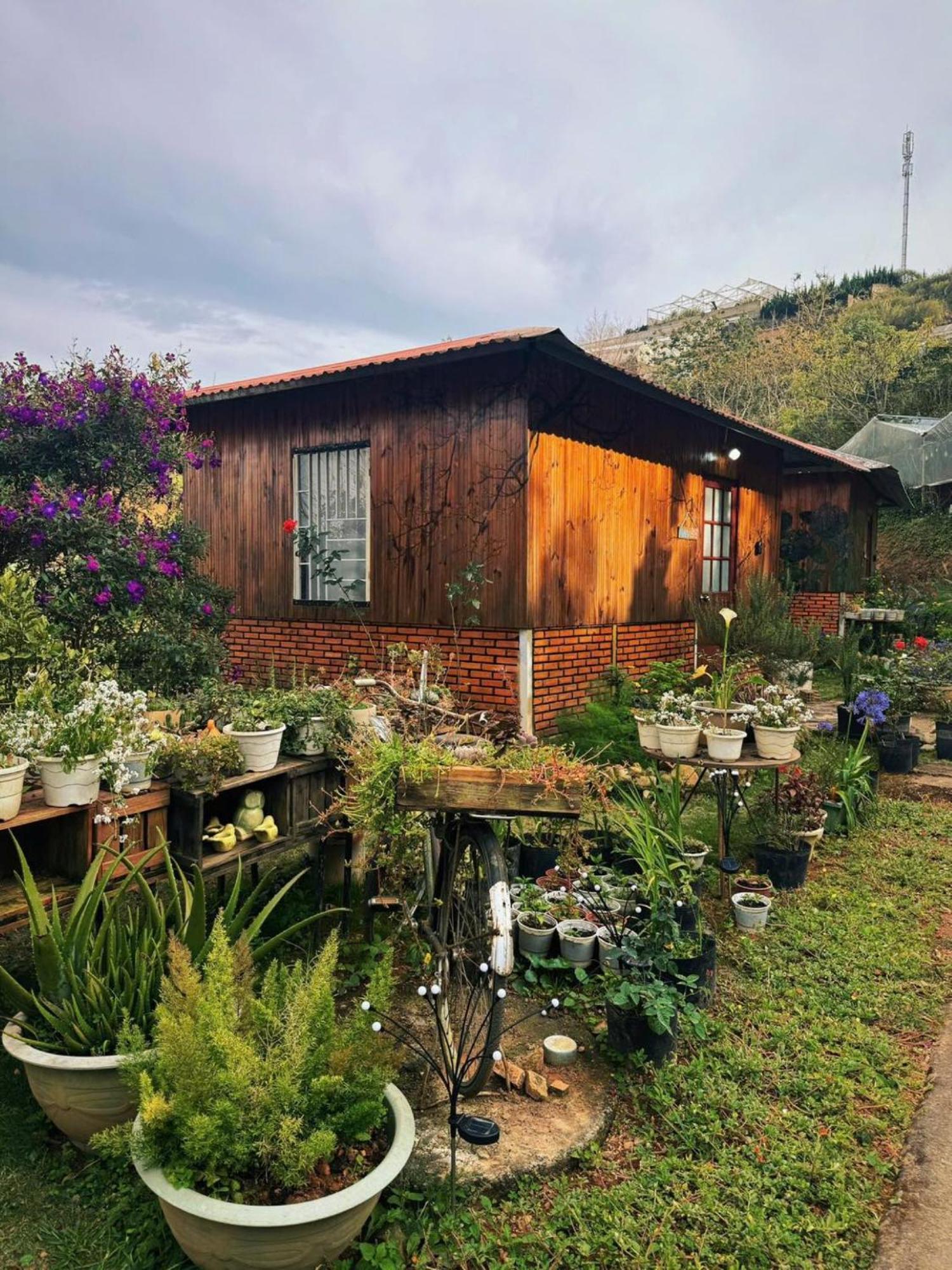 Nha Ben Ho - Da Lat Homestay Екстер'єр фото
