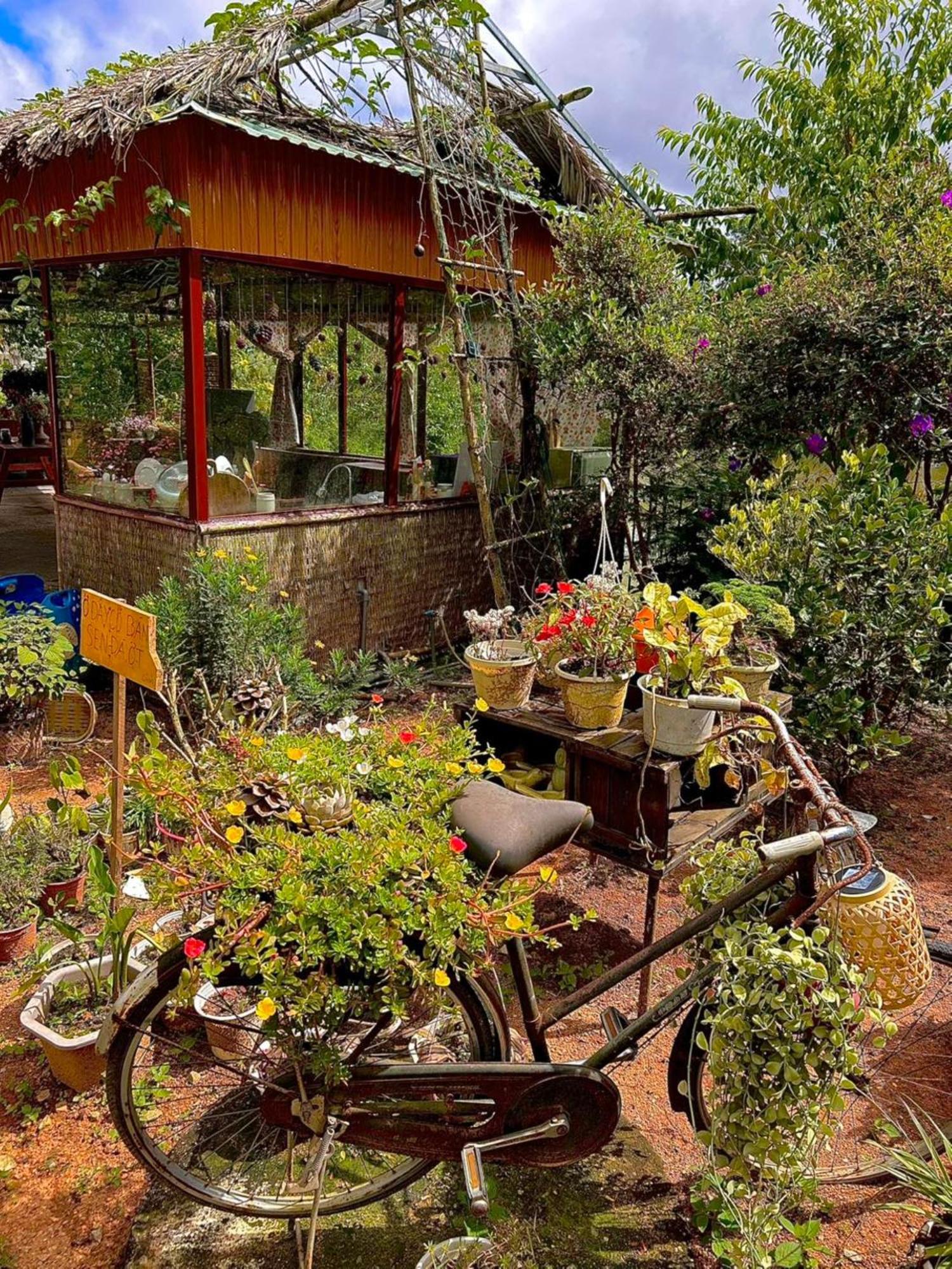 Nha Ben Ho - Da Lat Homestay Екстер'єр фото